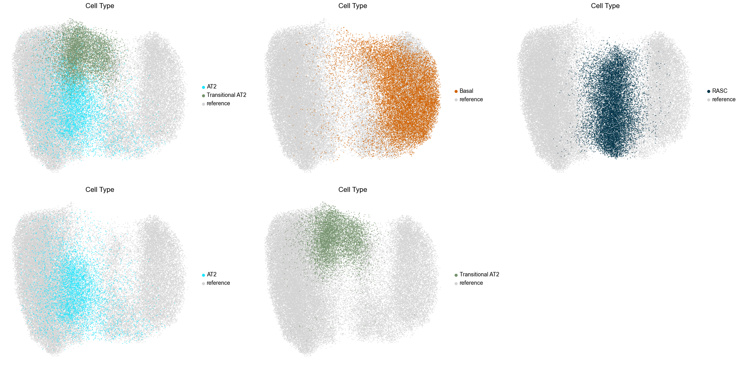 ../../_images/Case-control_studies_2.1_Xenium_PF_Vannan2025_runHarmonics_127_4.png
