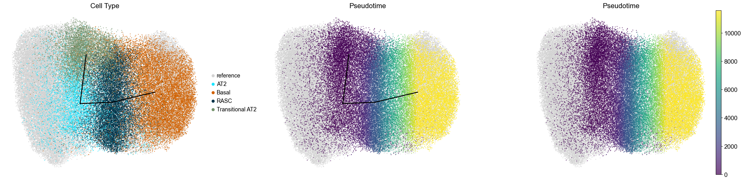 ../../_images/Case-control_studies_2.1_Xenium_PF_Vannan2025_runHarmonics_137_0.png