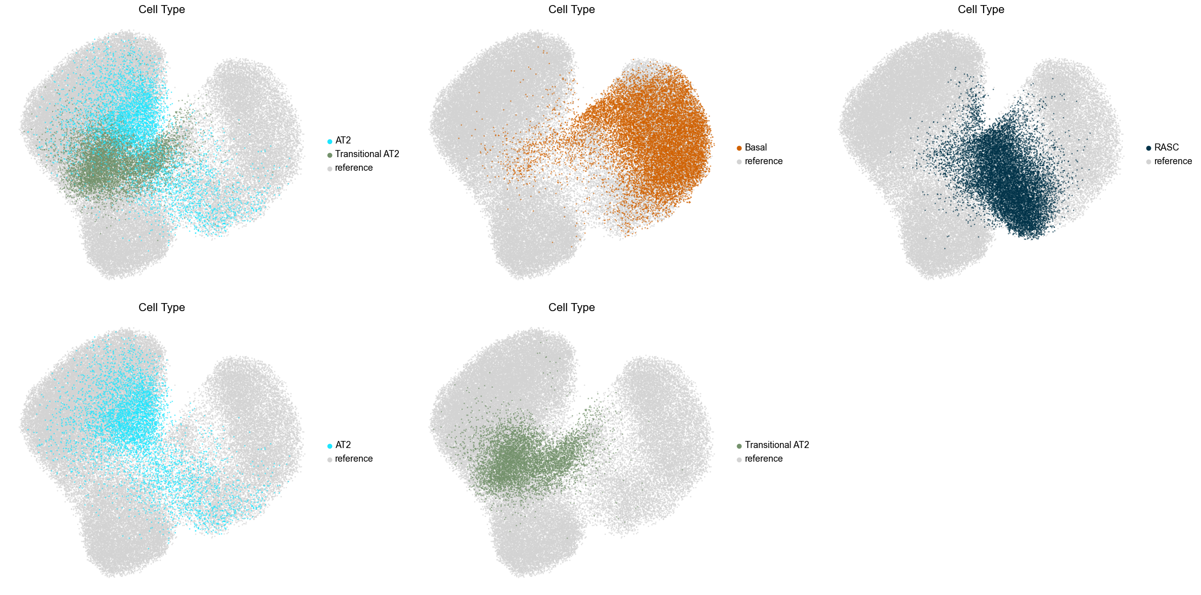 ../../_images/Case-control_studies_2.1_Xenium_PF_Vannan2025_runHarmonics_140_4.png