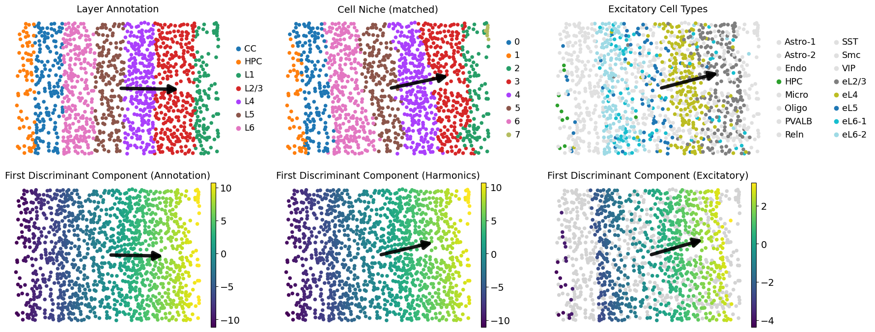 ../../_images/Condition-agnostic_studies_1.1_STARmap_V1_Wang2018_runHarmonics_p2_44_0.png