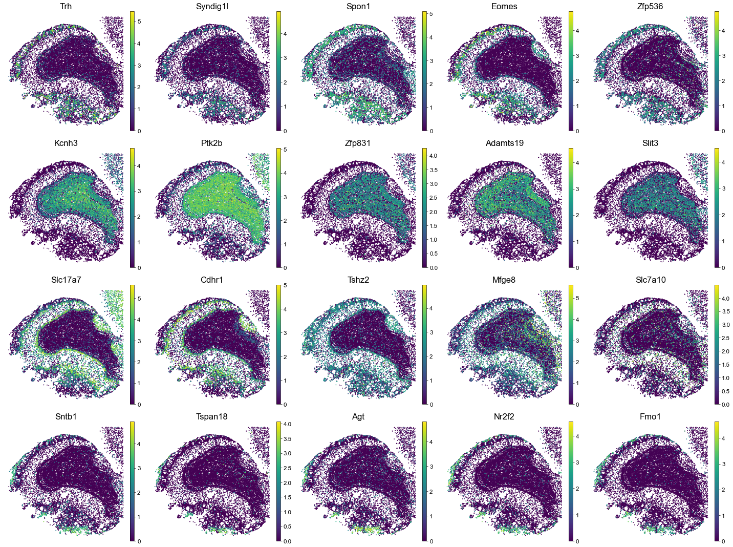 ../../_images/Condition-agnostic_studies_1.4_MERFISH_WMB_Zhang2023_runHarmonics_101_1.png