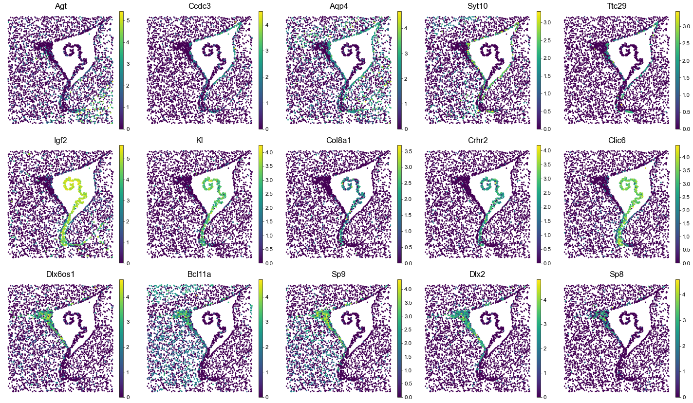 ../../_images/Condition-agnostic_studies_1.4_MERFISH_WMB_Zhang2023_runHarmonics_123_1.png