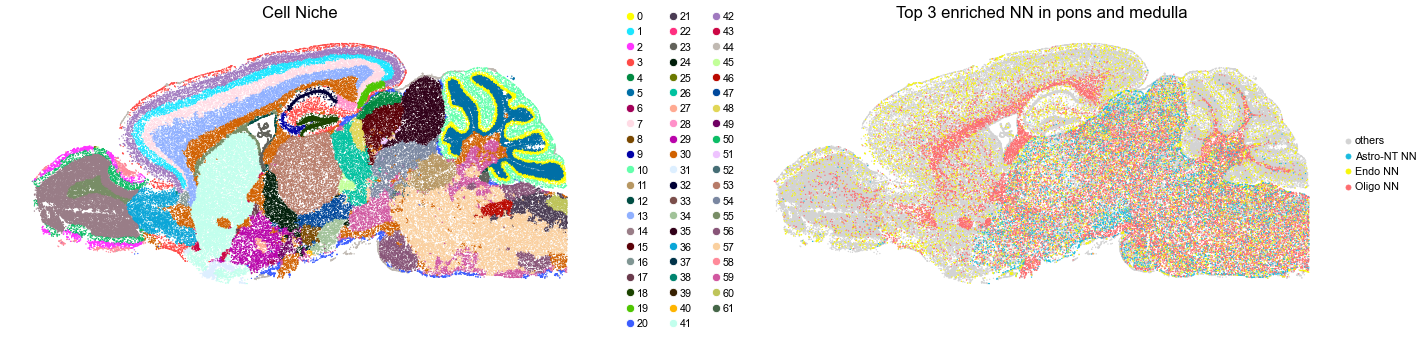 ../../_images/Condition-agnostic_studies_1.4_MERFISH_WMB_Zhang2023_runHarmonics_161_11.png