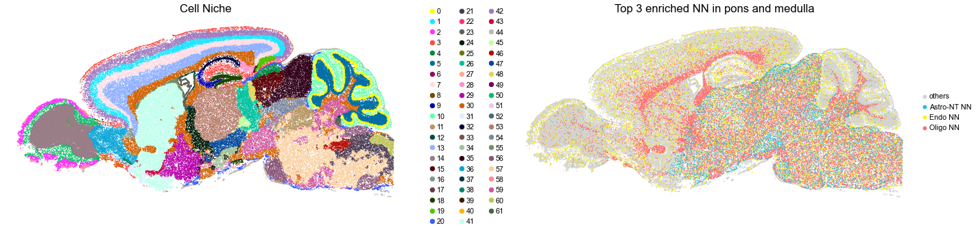../../_images/Condition-agnostic_studies_1.4_MERFISH_WMB_Zhang2023_runHarmonics_161_13.png