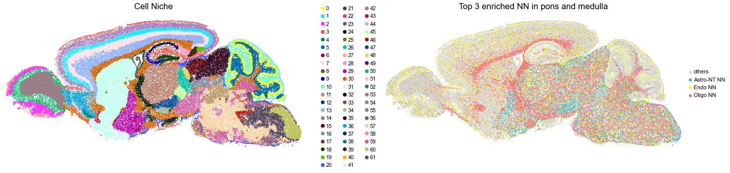../../_images/Condition-agnostic_studies_1.4_MERFISH_WMB_Zhang2023_runHarmonics_161_15.png