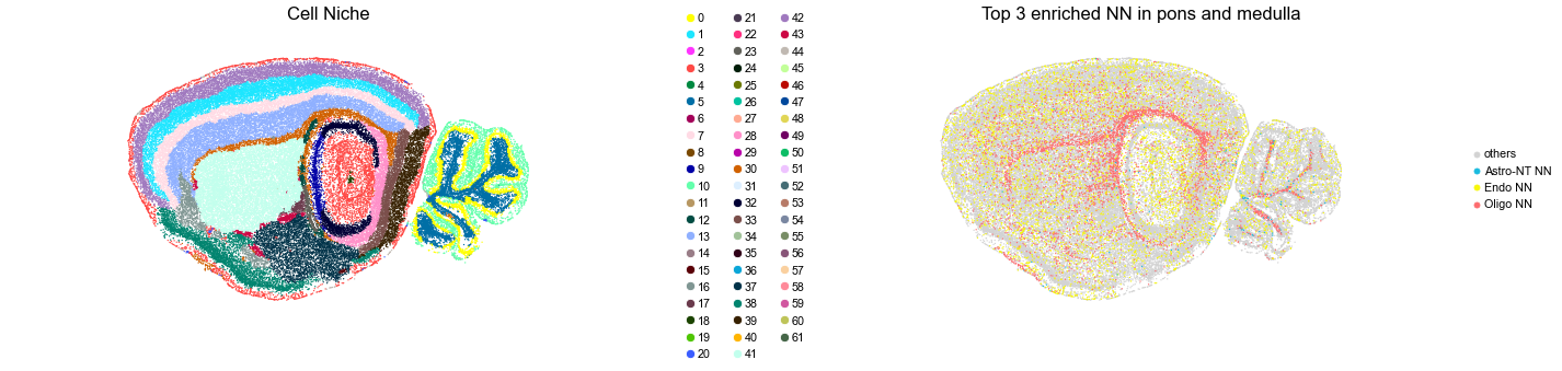 ../../_images/Condition-agnostic_studies_1.4_MERFISH_WMB_Zhang2023_runHarmonics_161_31.png