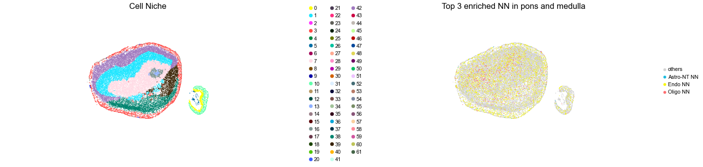 ../../_images/Condition-agnostic_studies_1.4_MERFISH_WMB_Zhang2023_runHarmonics_161_41.png
