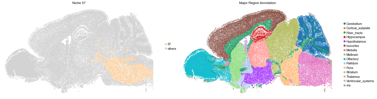 ../../_images/Condition-agnostic_studies_1.4_MERFISH_WMB_Zhang2023_runHarmonics_32_115.png