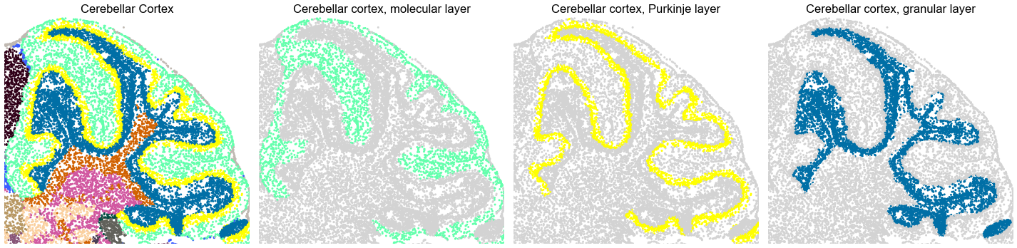 ../../_images/Condition-agnostic_studies_1.4_MERFISH_WMB_Zhang2023_runHarmonics_38_1.png