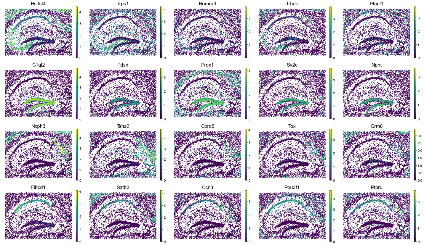 ../../_images/Condition-agnostic_studies_1.4_MERFISH_WMB_Zhang2023_runHarmonics_79_1.png
