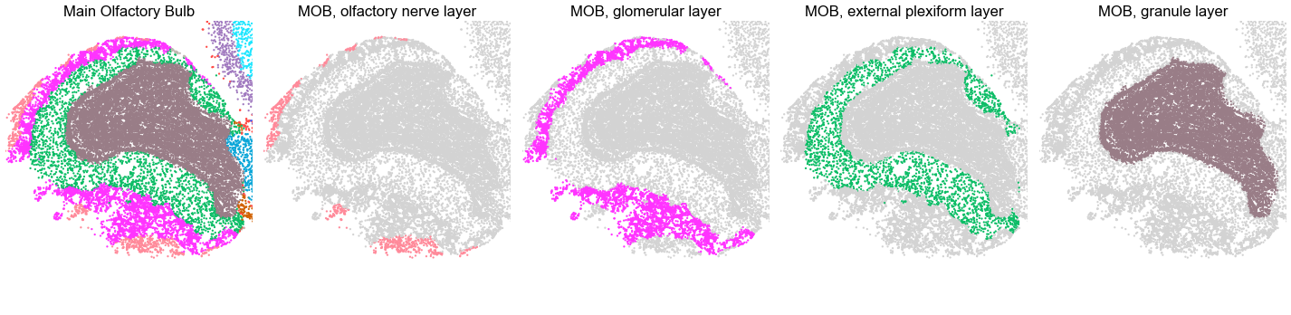 ../../_images/Condition-agnostic_studies_1.4_MERFISH_WMB_Zhang2023_runHarmonics_82_1.png