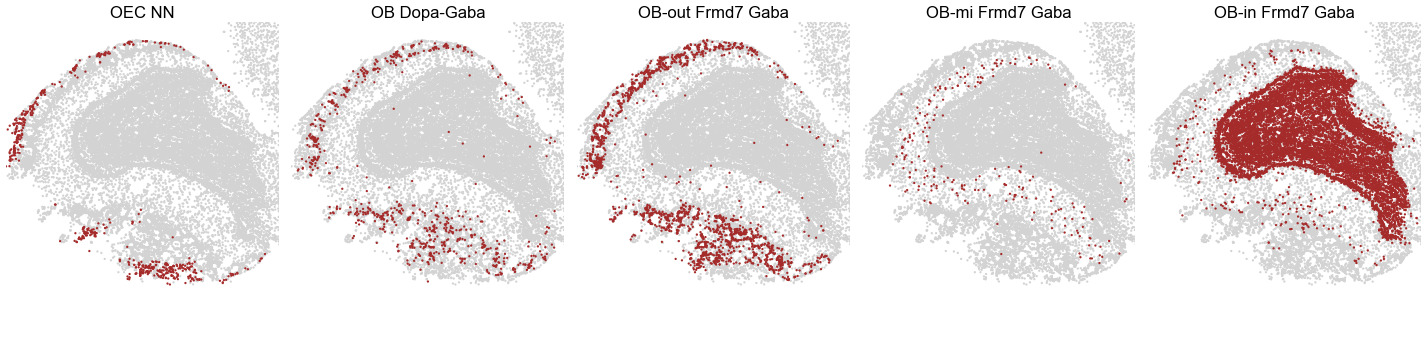 ../../_images/Condition-agnostic_studies_1.4_MERFISH_WMB_Zhang2023_runHarmonics_94_1.png