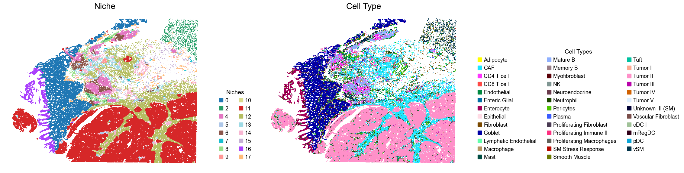 ../../_images/Condition-agnostic_studies_1.5_VisiumHD_CRC_Oliveira2024_runHarmonics_23_0.png