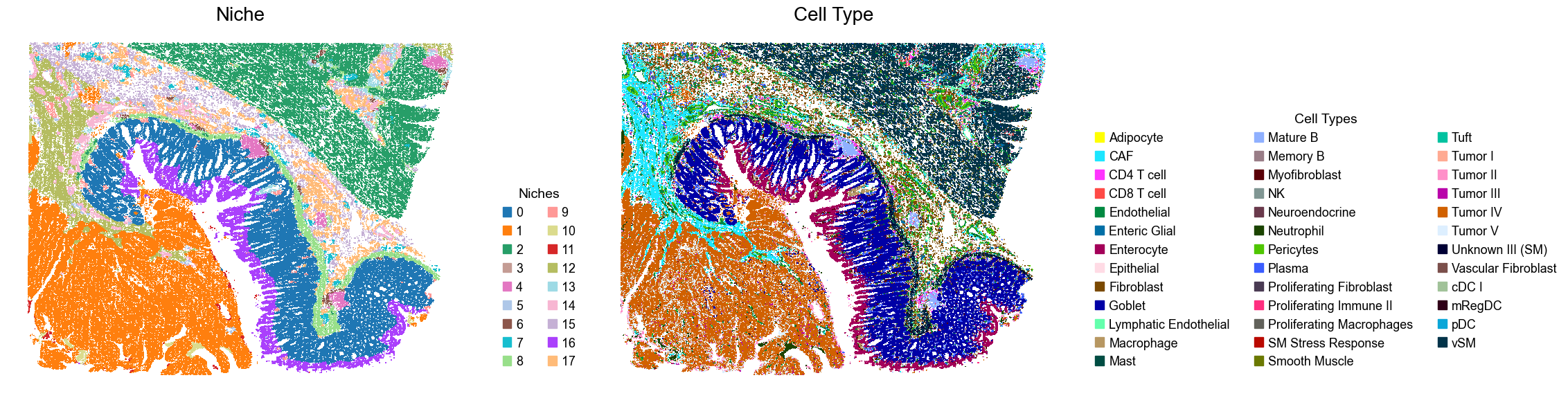 ../../_images/Condition-agnostic_studies_1.5_VisiumHD_CRC_Oliveira2024_runHarmonics_23_2.png