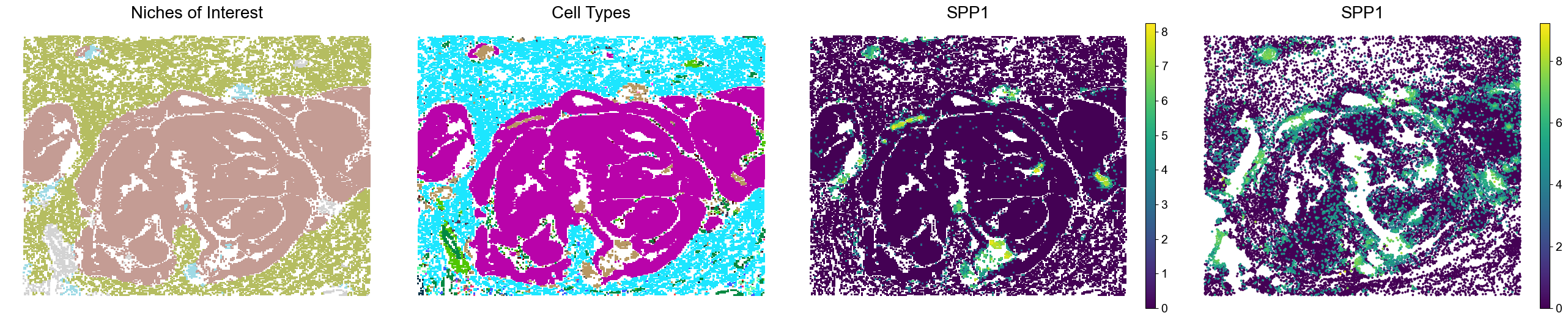 ../../_images/Condition-agnostic_studies_1.5_VisiumHD_CRC_Oliveira2024_runHarmonics_51_0.png