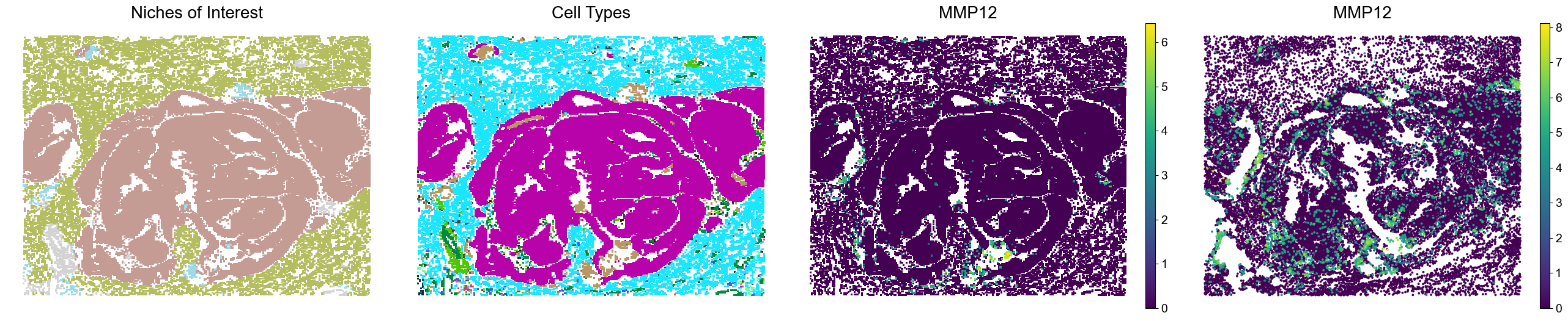 ../../_images/Condition-agnostic_studies_1.5_VisiumHD_CRC_Oliveira2024_runHarmonics_51_2.png