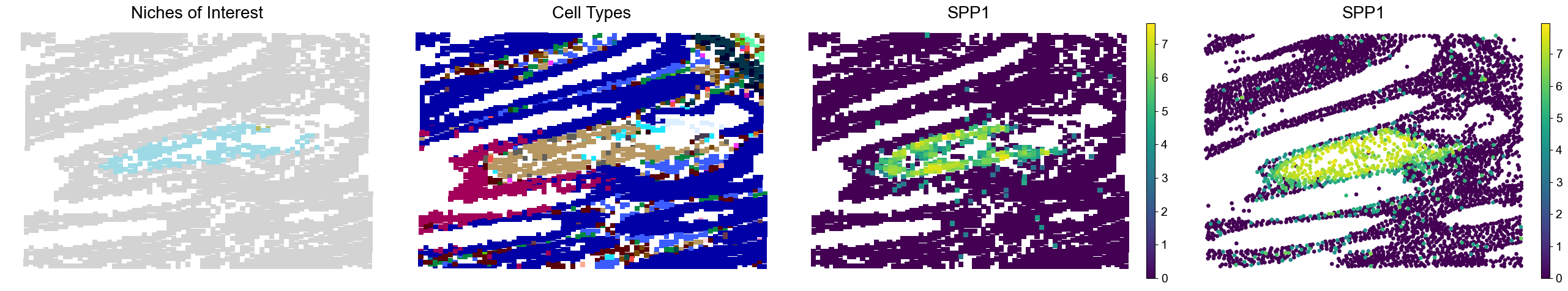 ../../_images/Condition-agnostic_studies_1.5_VisiumHD_CRC_Oliveira2024_runHarmonics_53_0.png